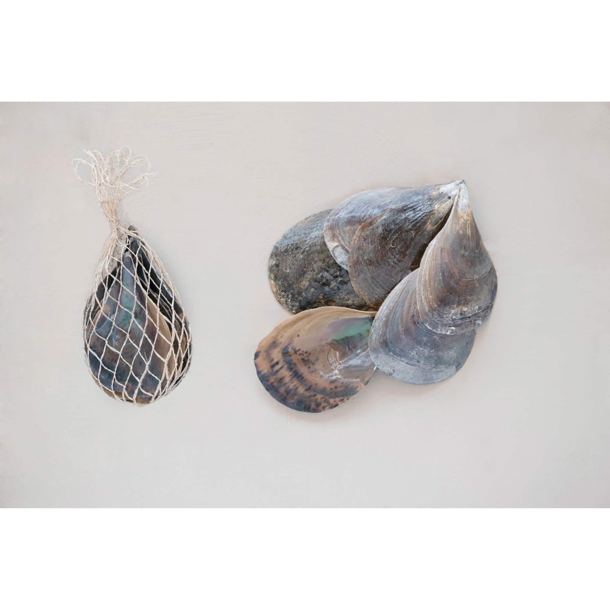 Hello Honey® Pen Clam Shells in Bag
